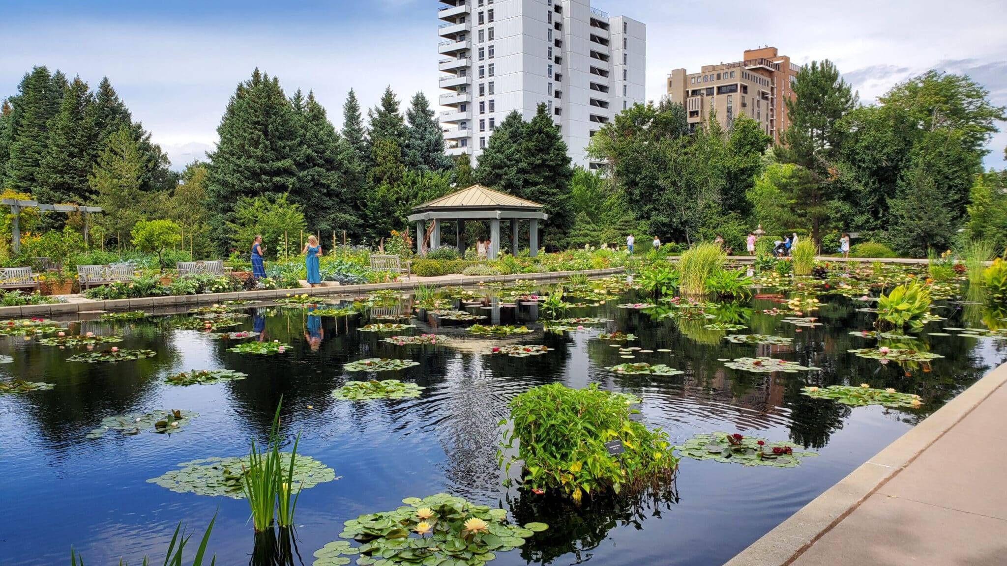 Congress Park Neighborhood