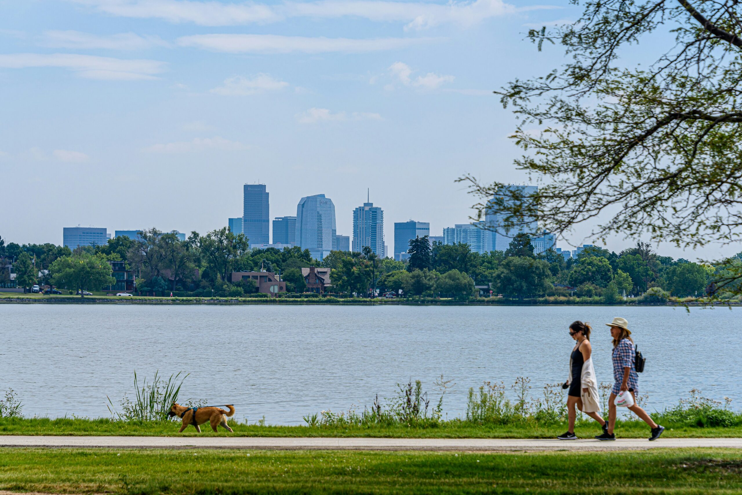 Edgewater Neighborhood
